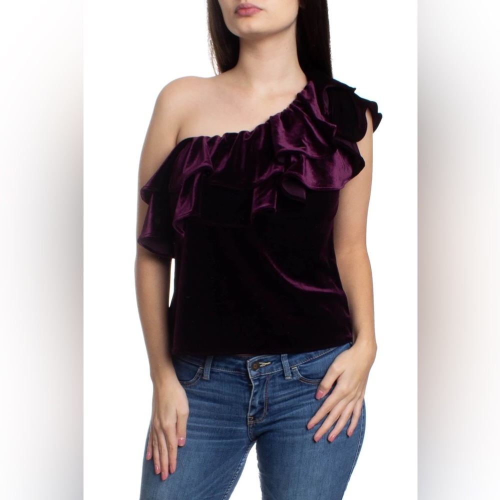 Misa Los Angeles Deep Purple Velvet Ruffle Top